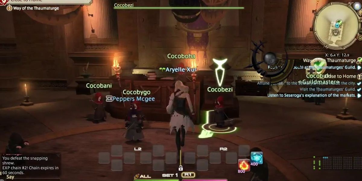 thamaturge guild