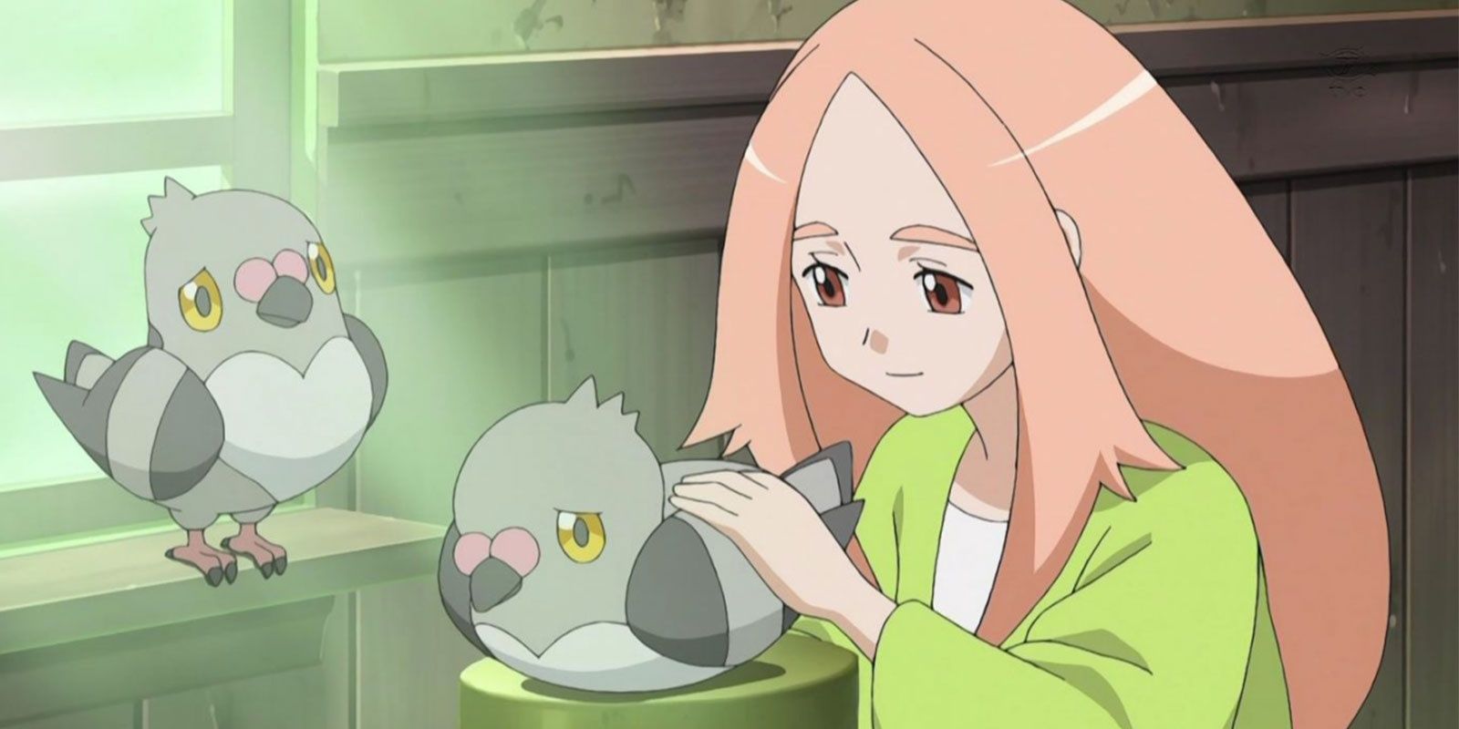 Two pidove with a trainer, one receiving attention and care