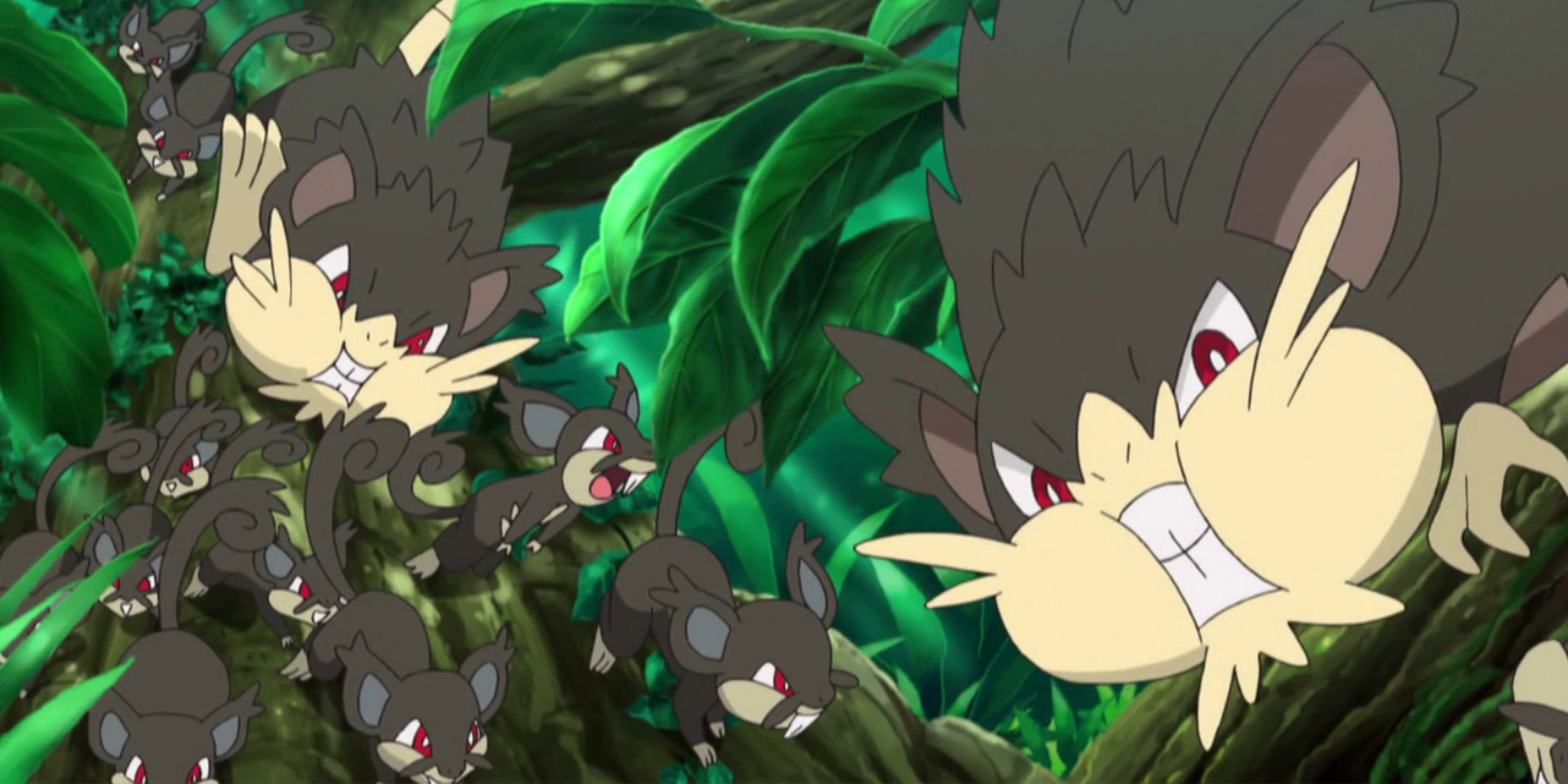 A screenshot from the Pokemon anime featuring a swarm of Alolan Rattata and Alolan Raticate in a forest