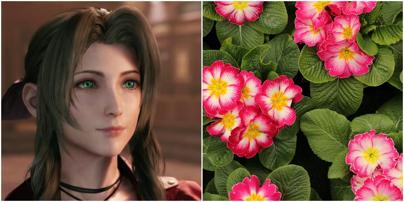 Aerith Gainsborough from Final Fantasy 7 Remake and some primroses