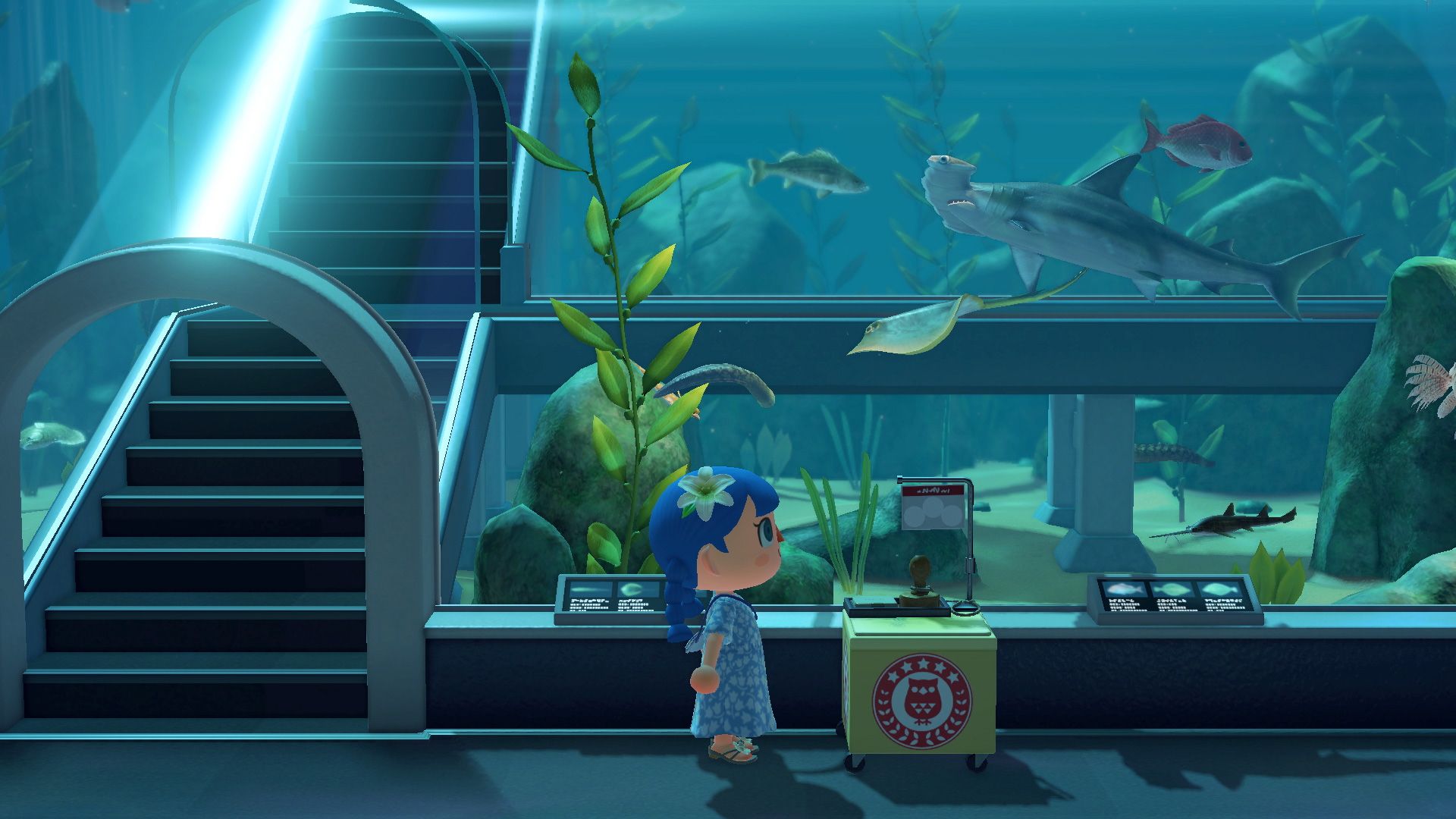 Animal Crossing New Horizons International Museum Day Event