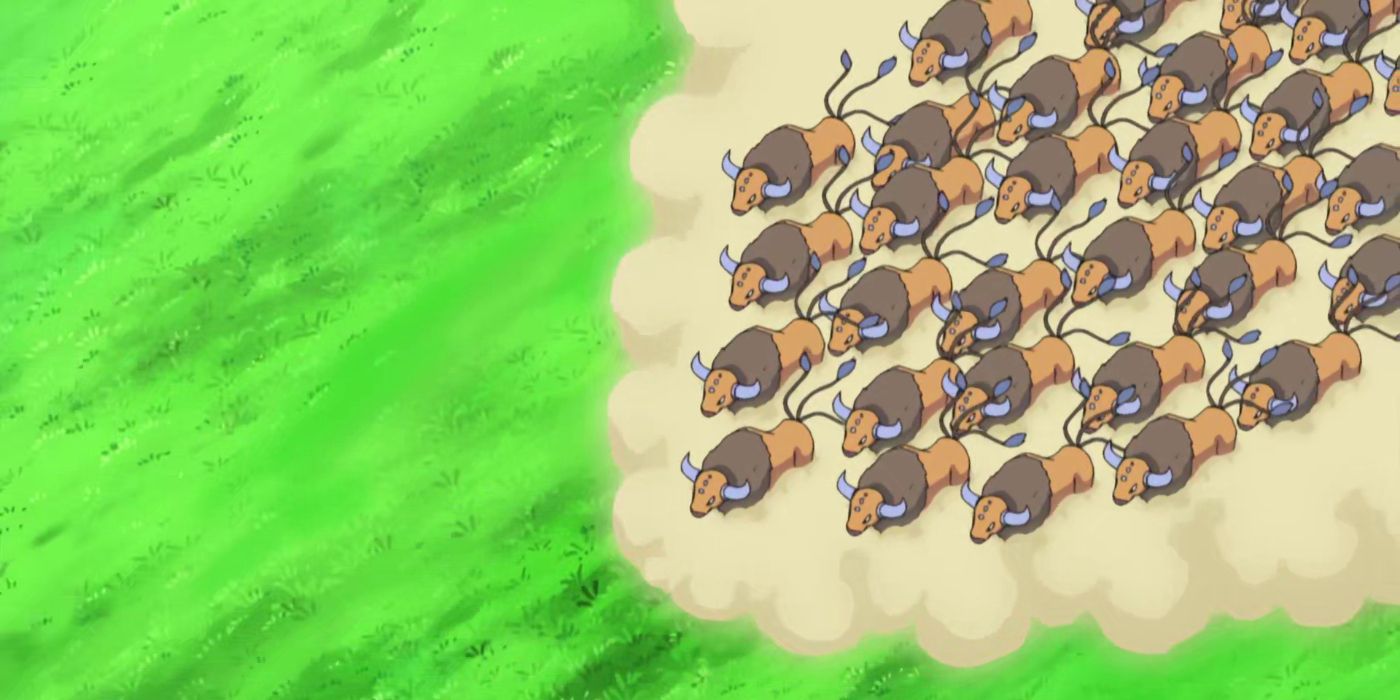 ASH POKEMON TAUROS ANIME HERD STAMPEDE