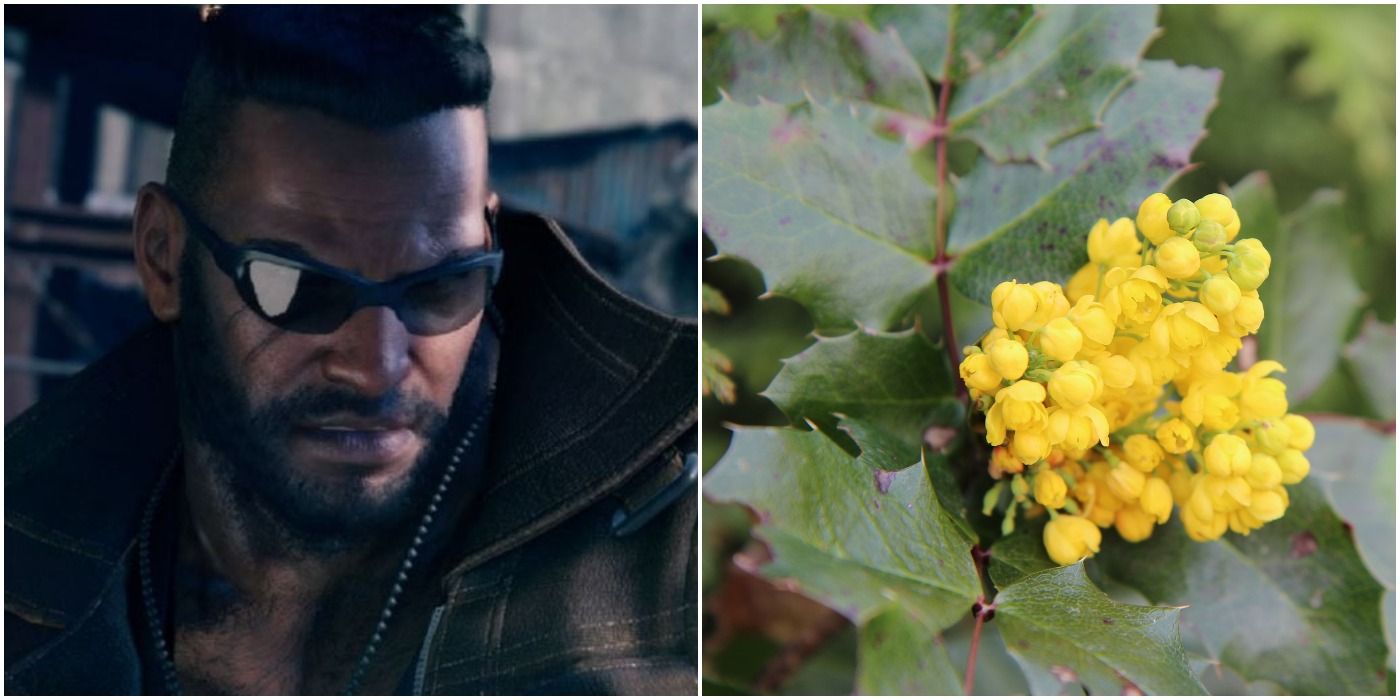 Barret Wallace from Final Fantasy VII Remake and some holly flowers