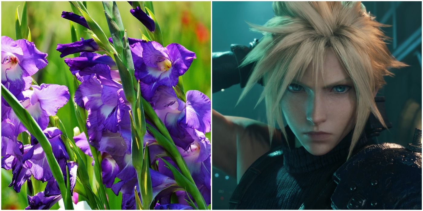 Cloud Strife from Final Fantasy 7 Remake and some gladioli