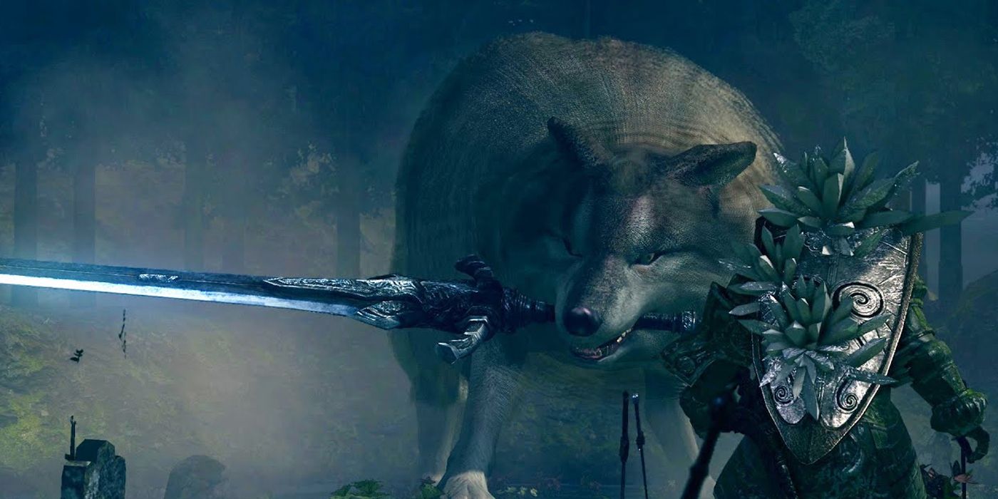 Dark Souls Details Missed sif