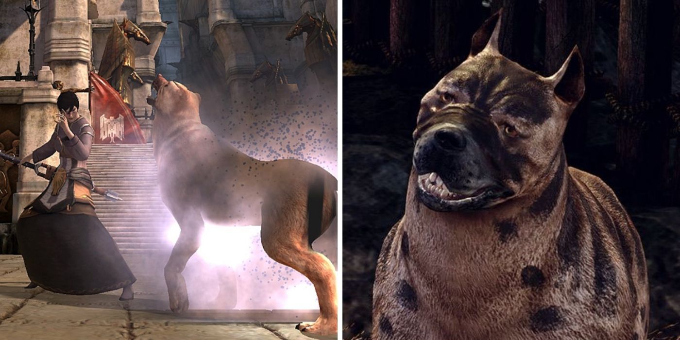 Dragon Age Mabari