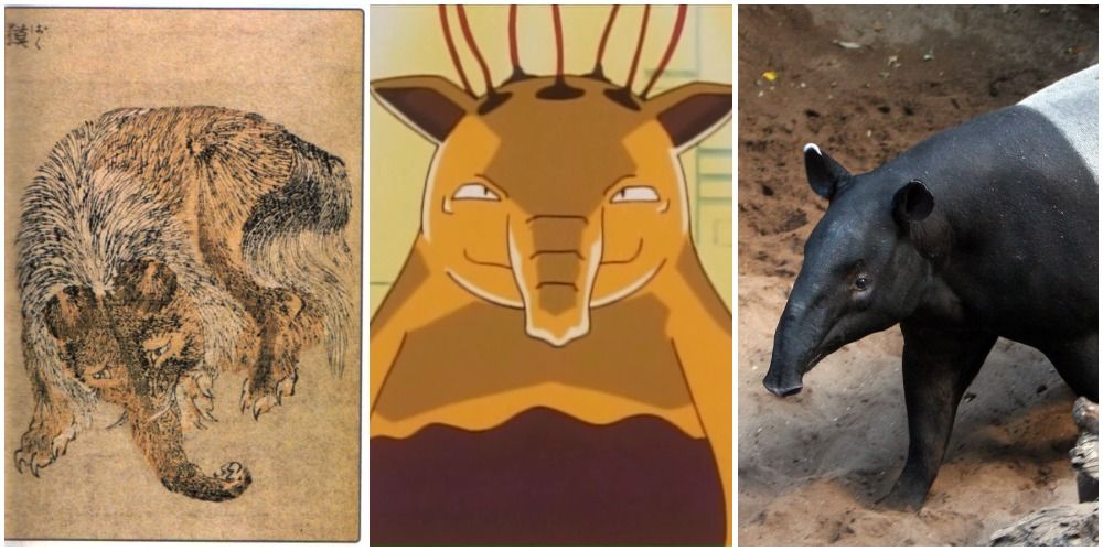 Psychic Pokemon Drowzee and its Inspirations: Tapirs and the Mythological Baku