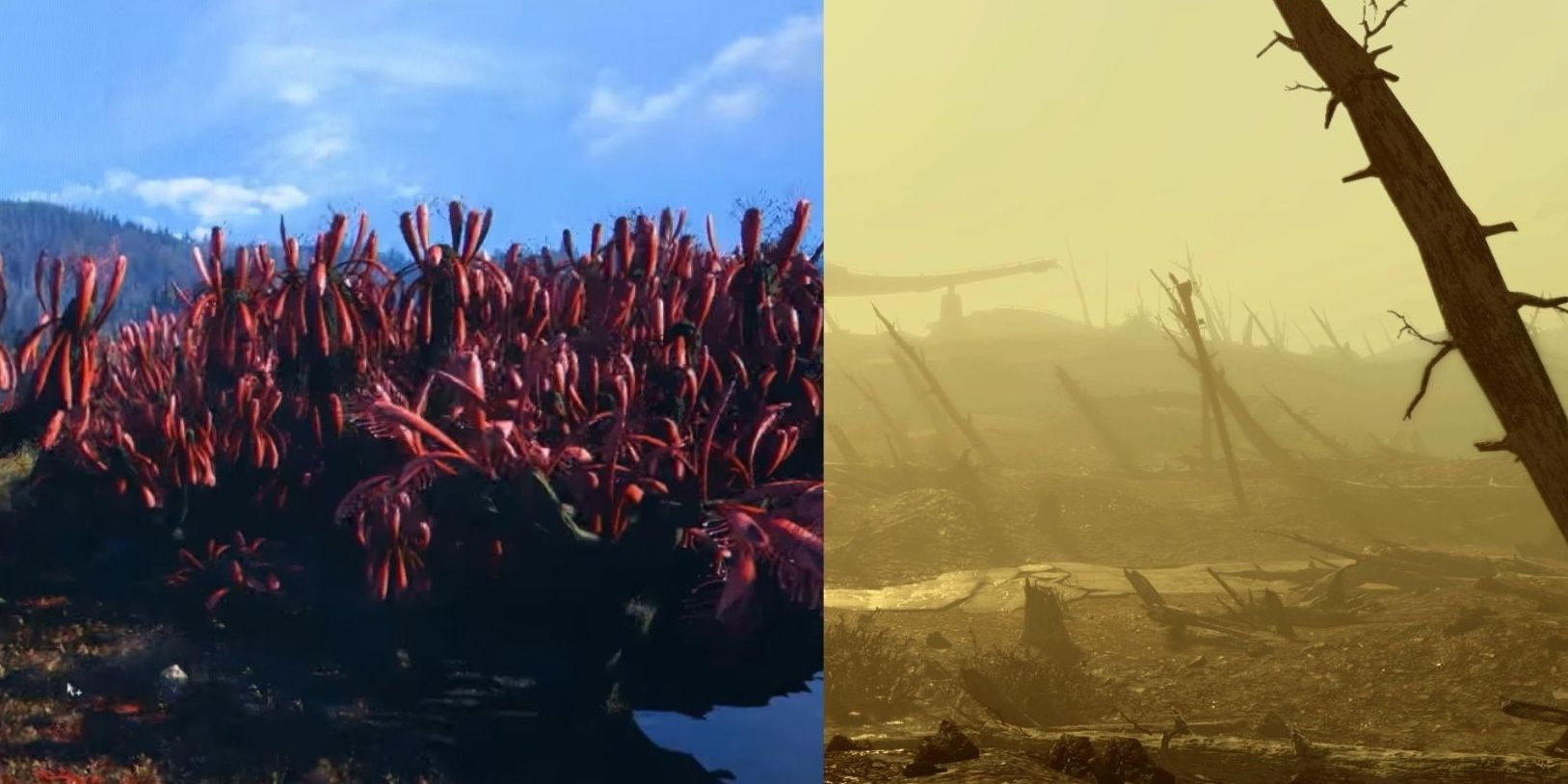 Cranberry Bog Region (76) and Glowing Sea Region (4)
