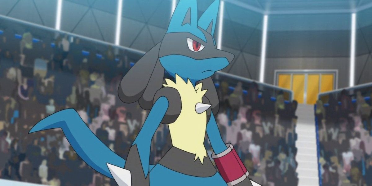Lucario Pokemon Anime Spectators