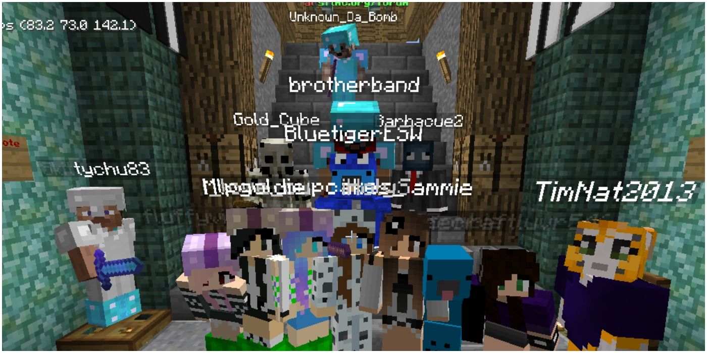Group of Minecraft Players