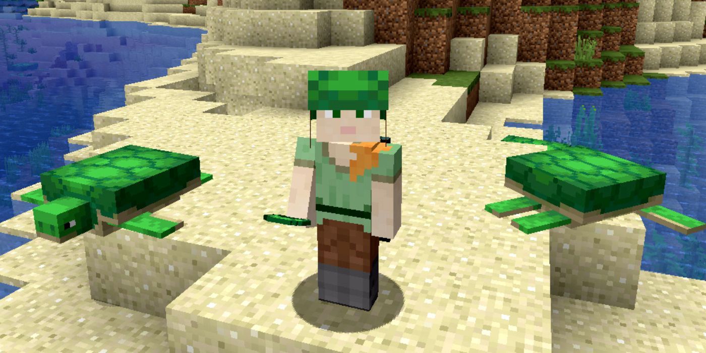 Minecraft turtle shell helmet on a player standing on a beach with turtles