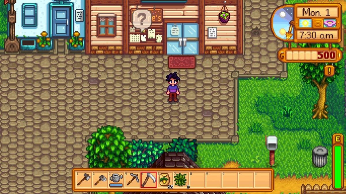 pelican town in front of pierre's general store and harvey's clinic