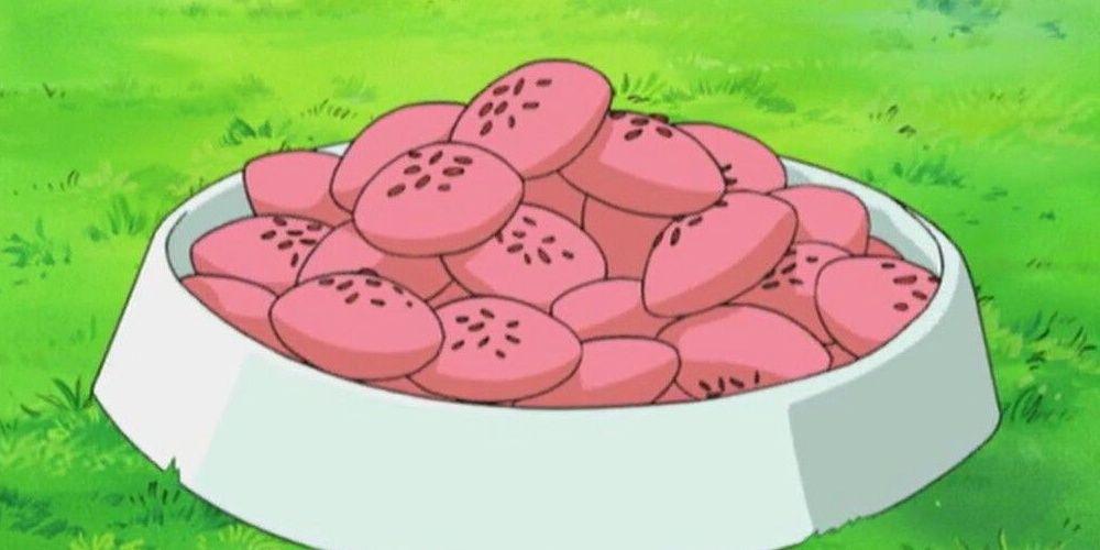 Pokemon Anime Poffins