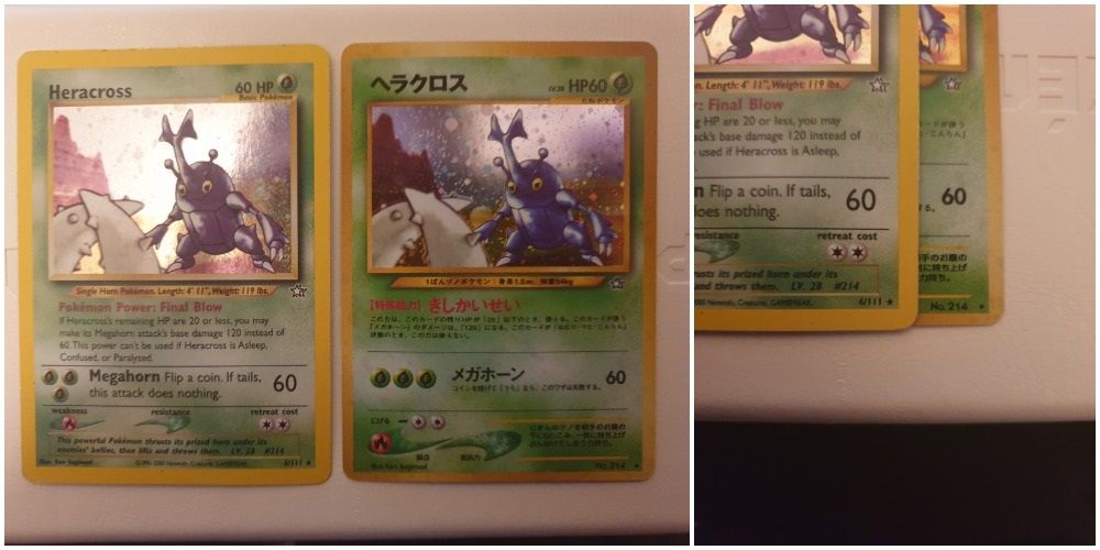 Heracross Japanese English Rarity Pokémon TCG