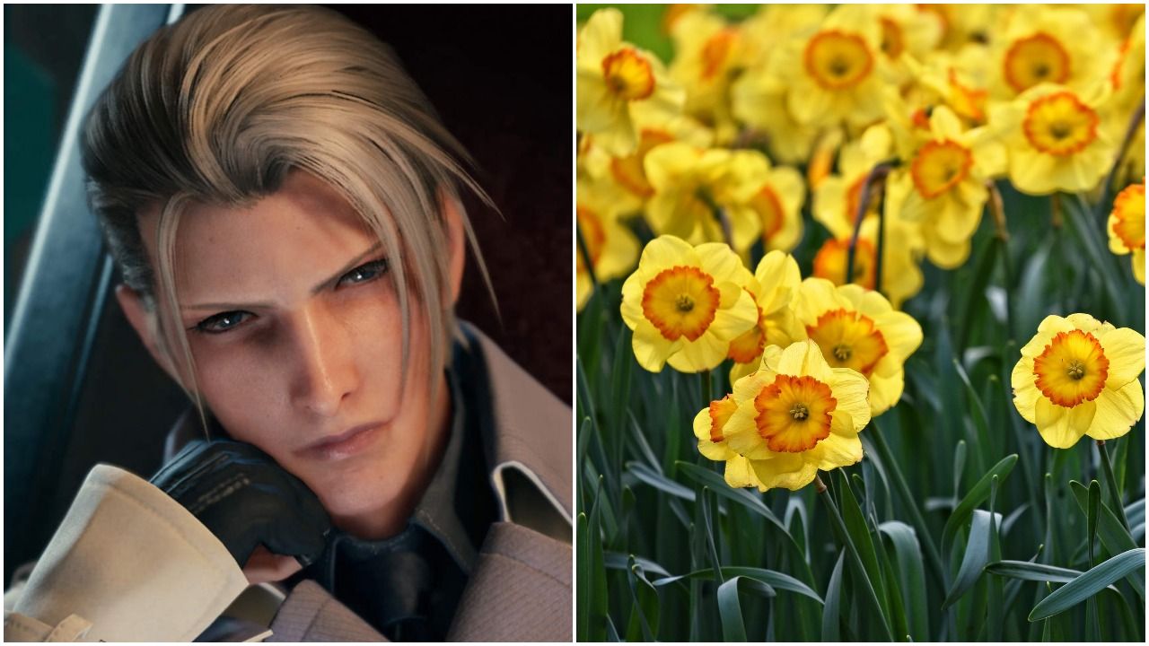Rufus Shinra from Final Fantasy 7 Remake and some daffodil flowers