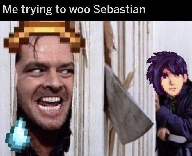 Sebastian Stardew Valley Meme Cropped