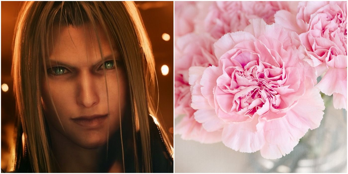 Sephiroth from Final Fantasy 7 and some carnation flowers