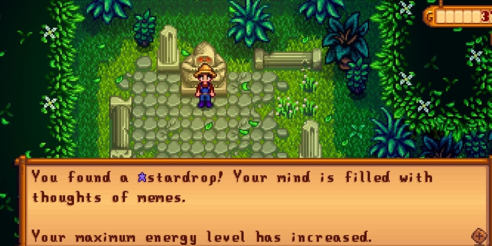 Favorite Thing Cutscene After Obtaining Stardrop
