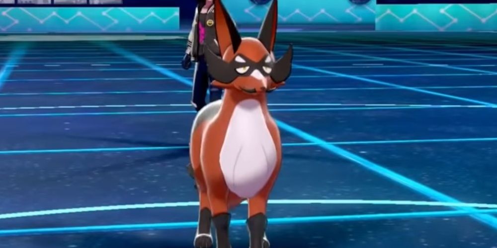A Thievul In A WiFi Battle