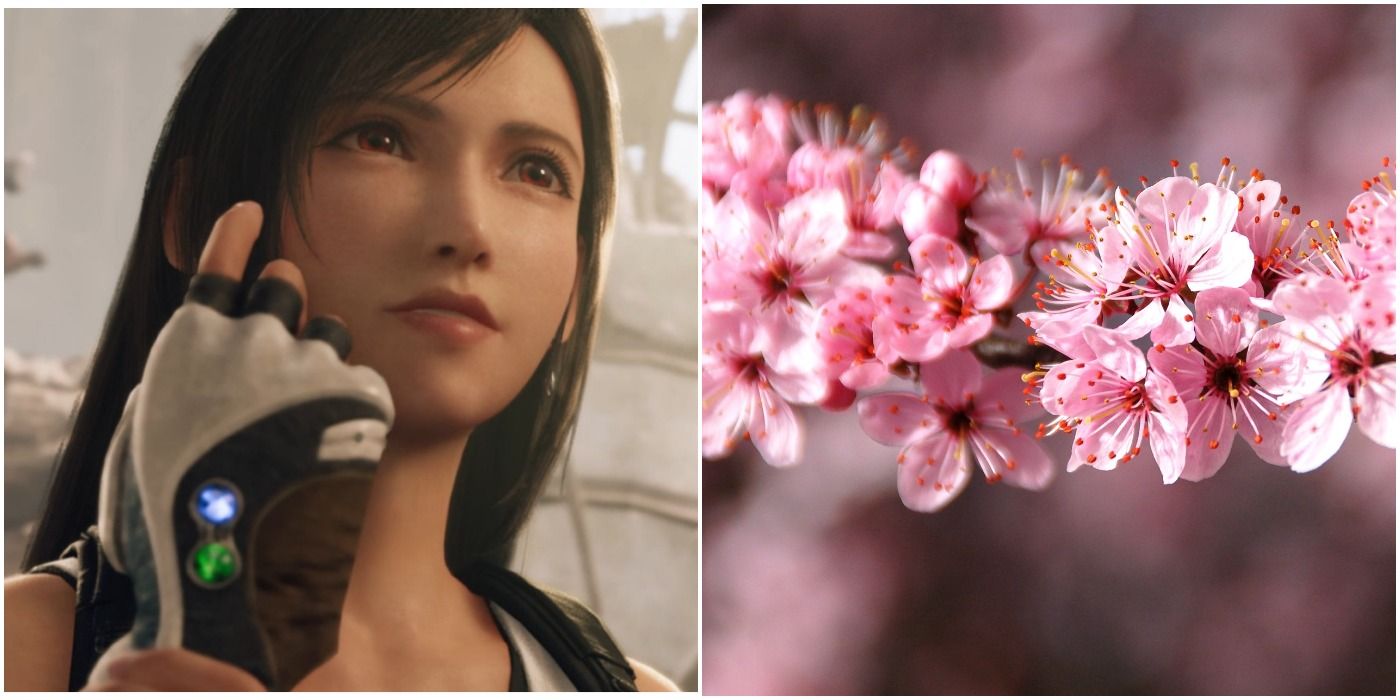 Tifa Lockhart from Final Fantasy 7 Remake and some hawthorn flowers