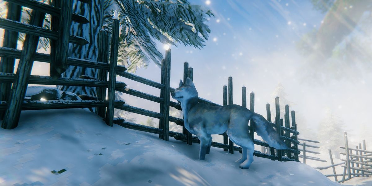 wolf behind a fence in valheim