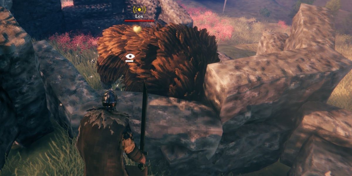 trapping a lox in valheim