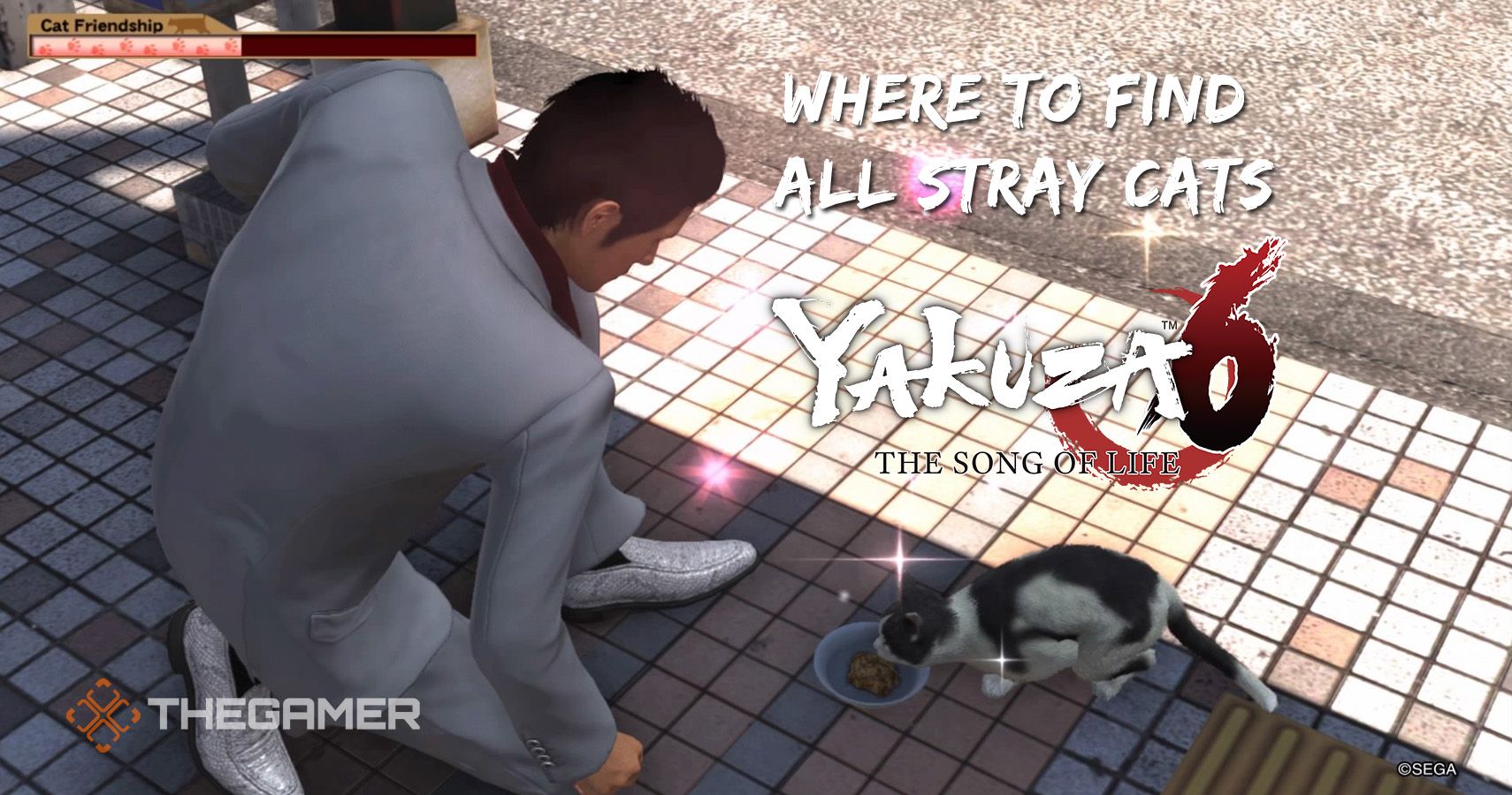 Yakuza 6 Where to Find All Stray Cats