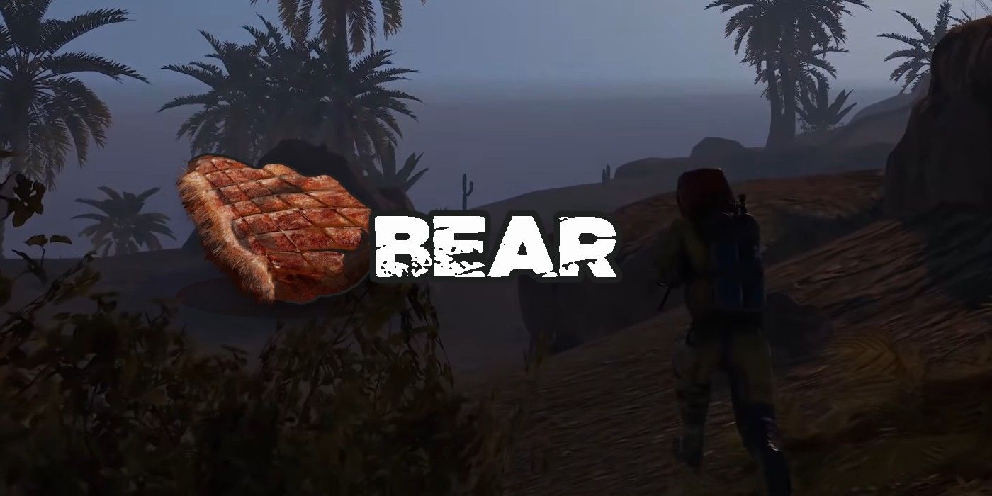 cooked bear meat rust