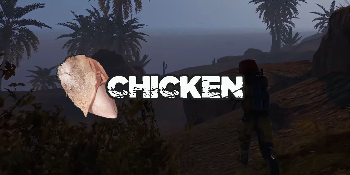 chicken rust raw meat item