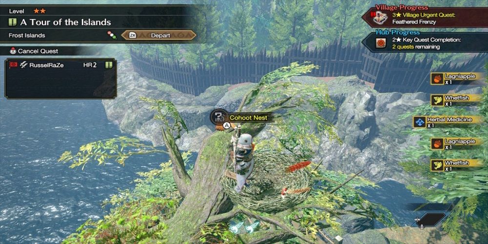 cohoot nest in mhr