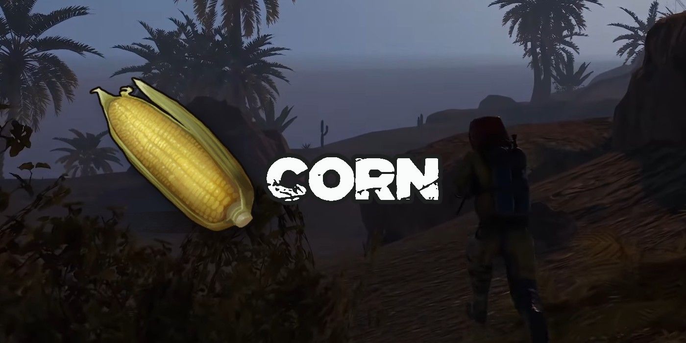 corn in rust item