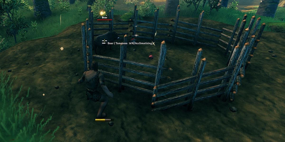 taming a boar in valheim