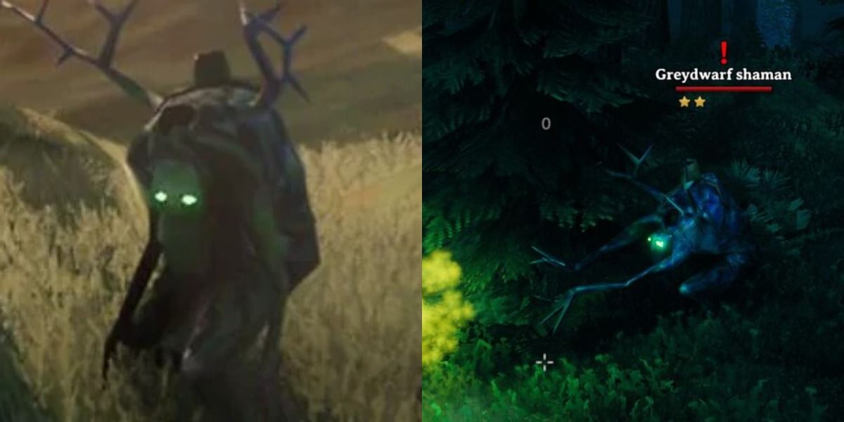 Greydwarf Shamans side by side