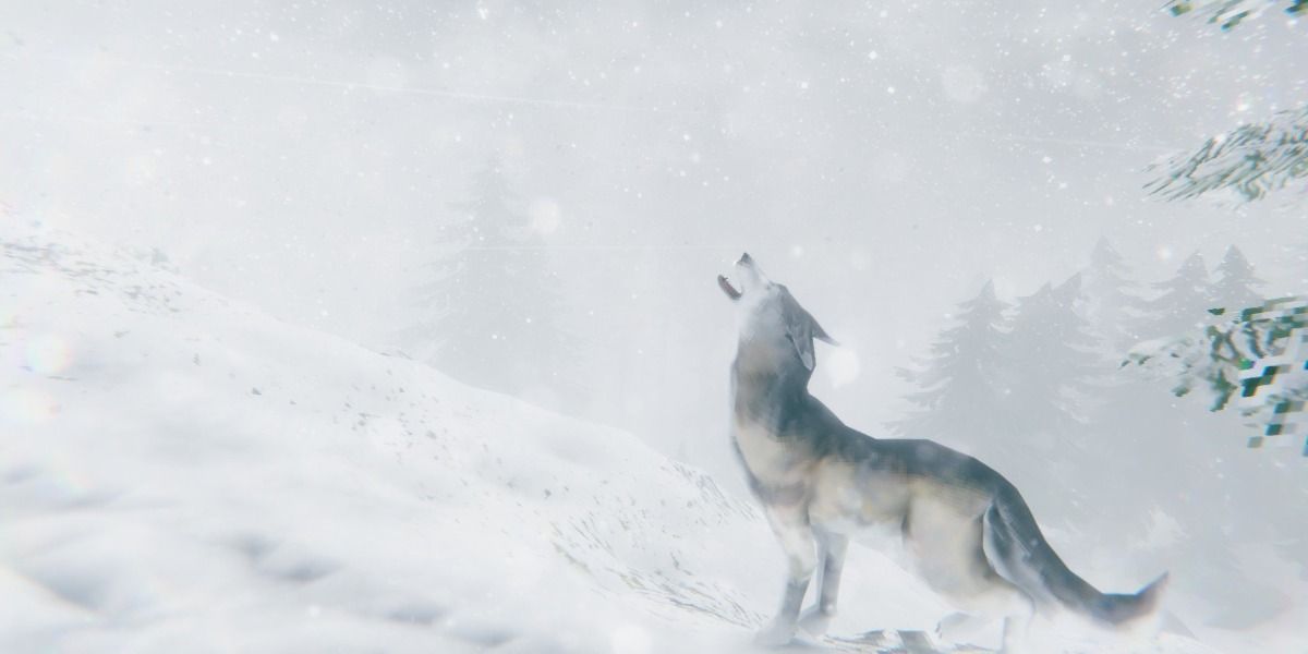 Valheim's Wolf