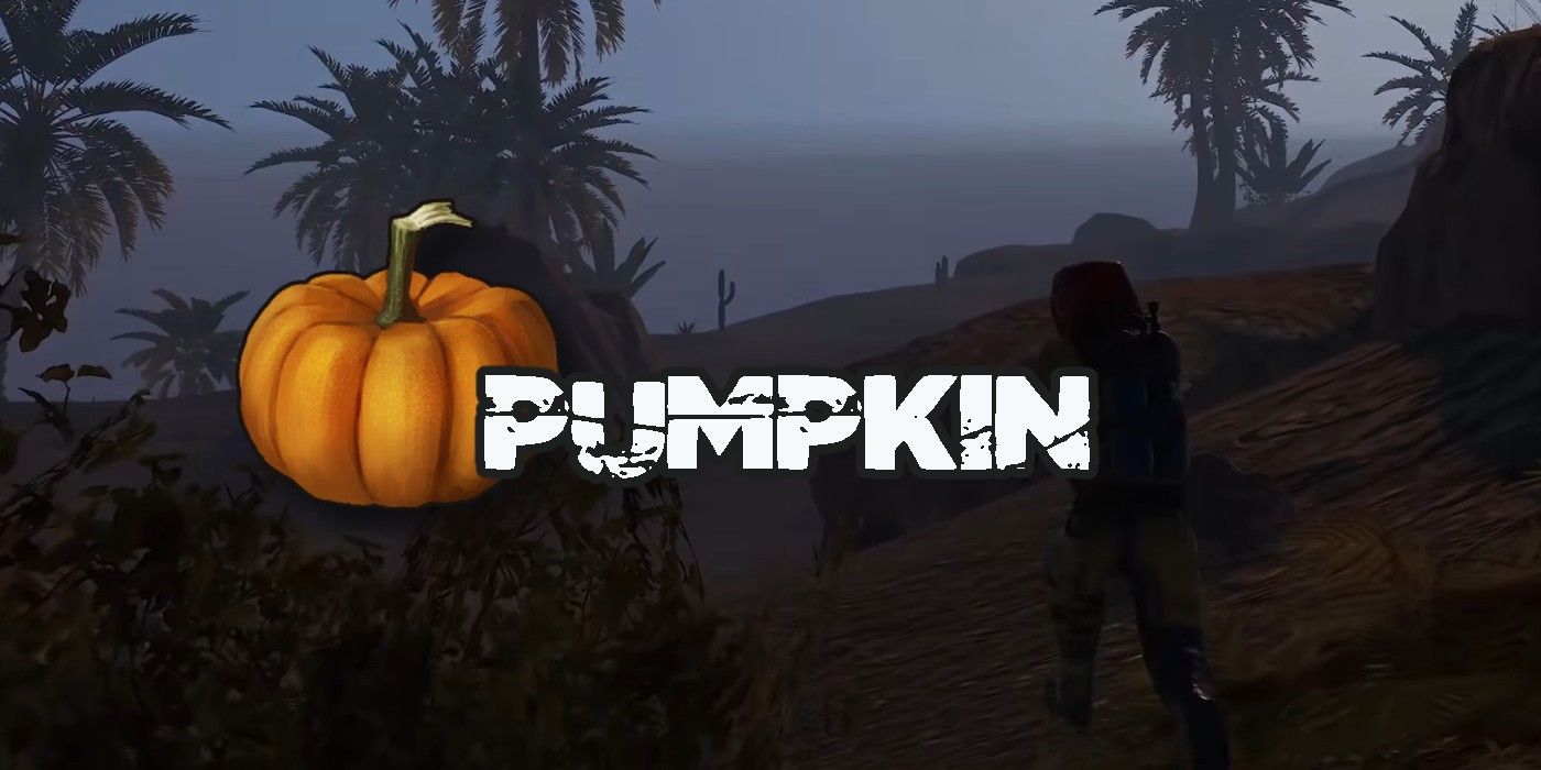 pumpkin rust food item