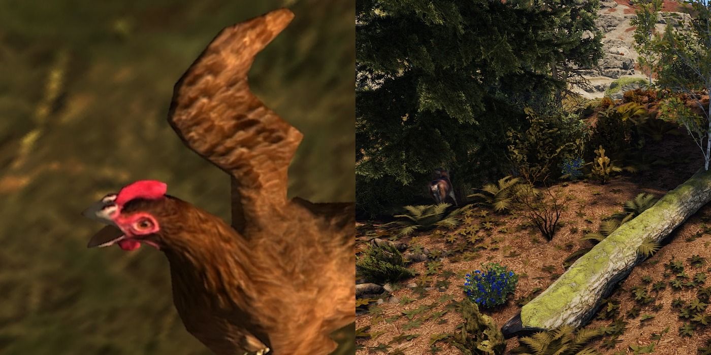 Food in Rust