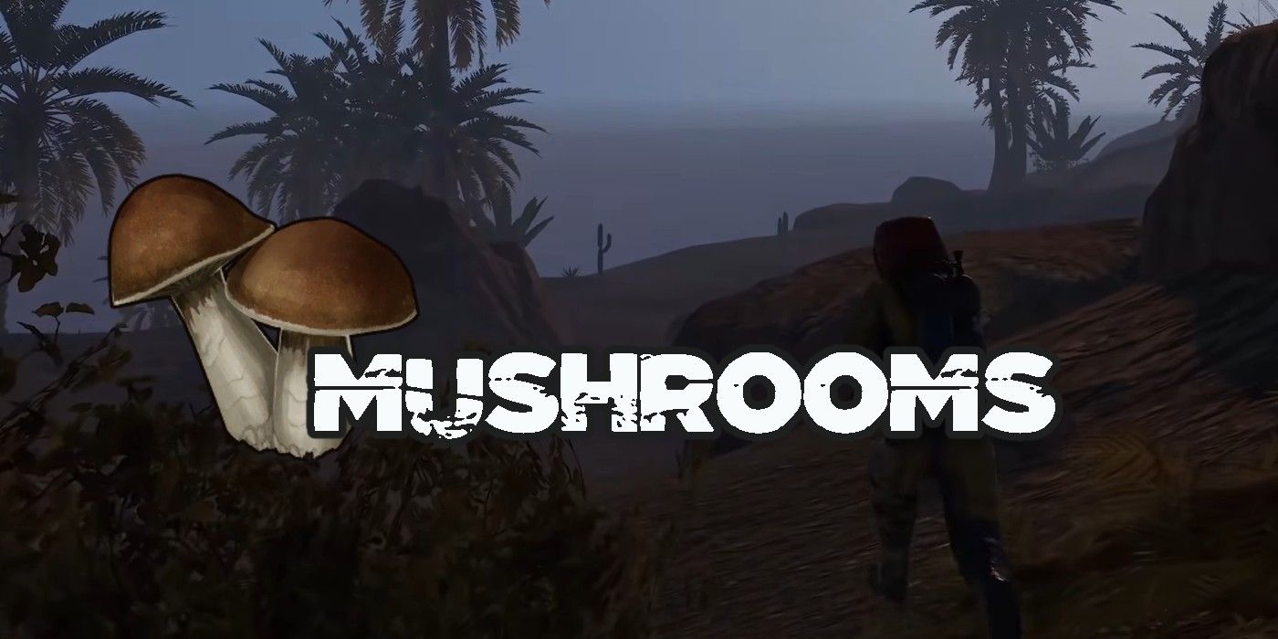 rust mushroom item