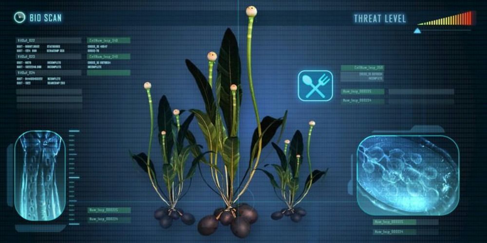 Chinese Potato Plant in Subnautica