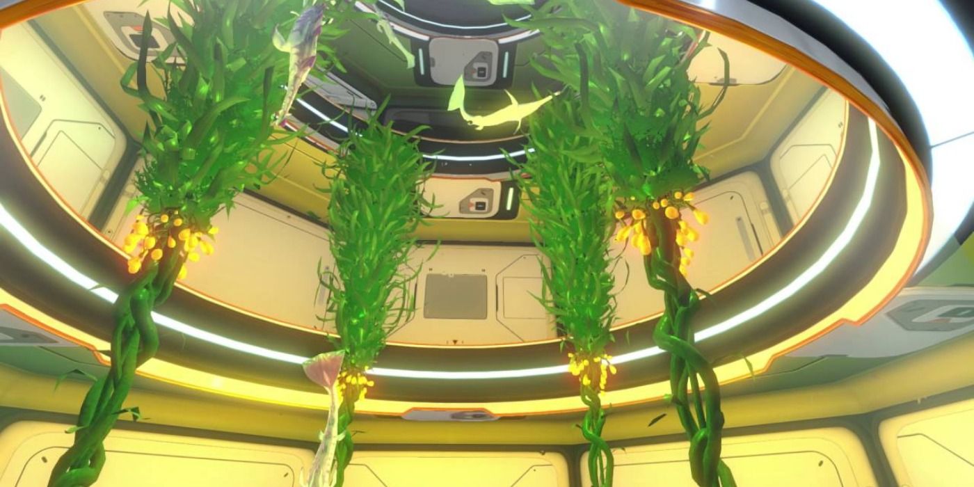 Creepvine in Subnautica