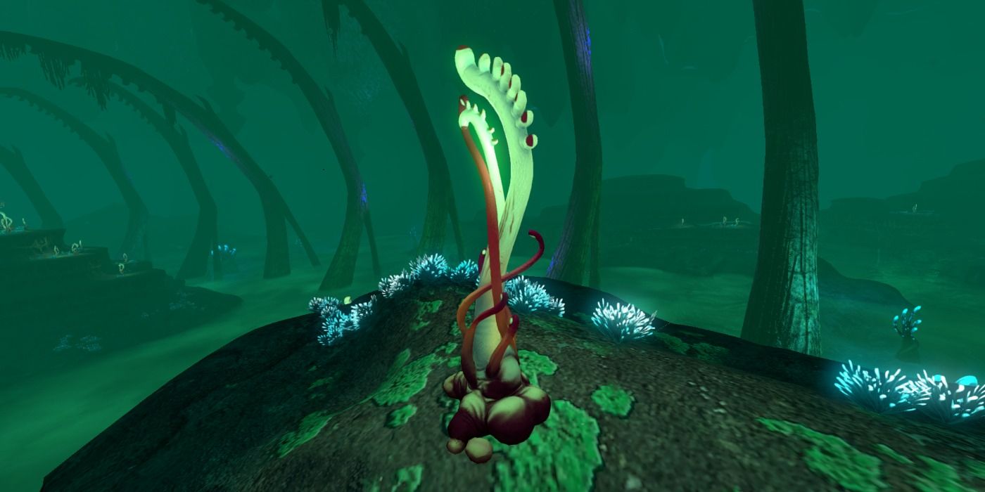 Ghost Weed in Subnautica
