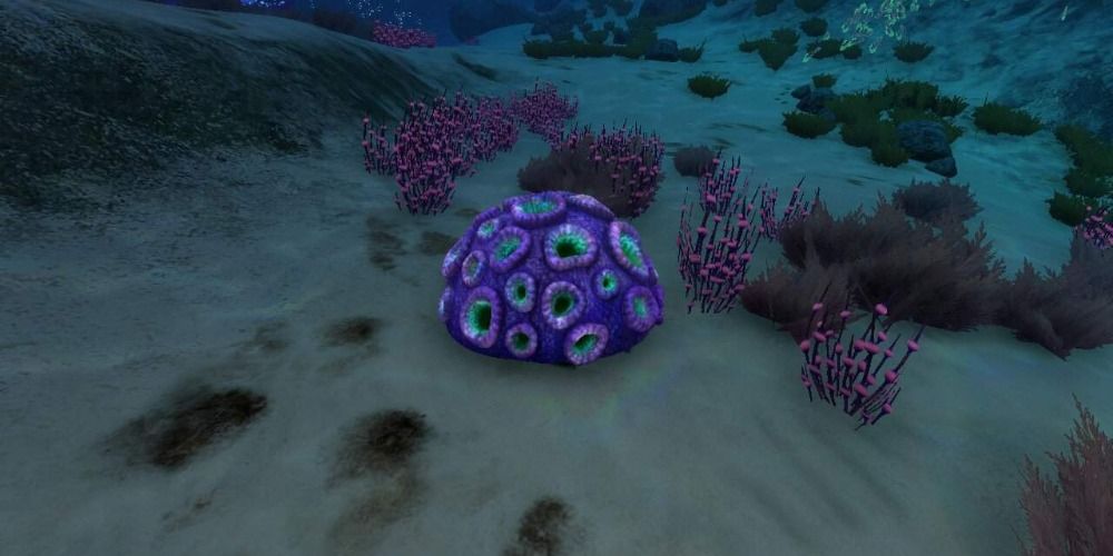 Brain Coral in Subnautica