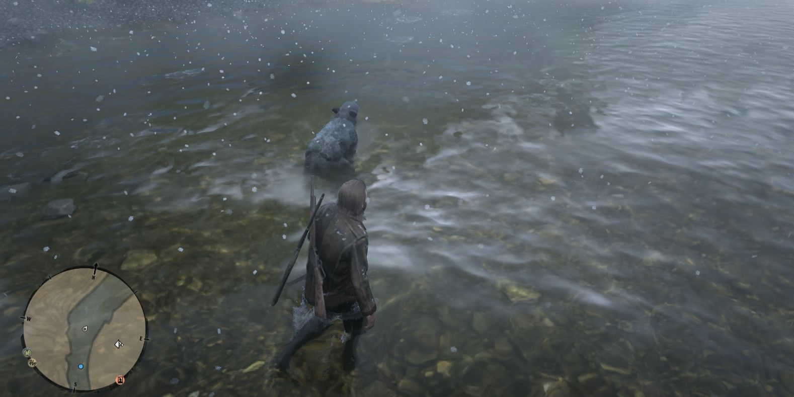 swimming with bears in red dead online