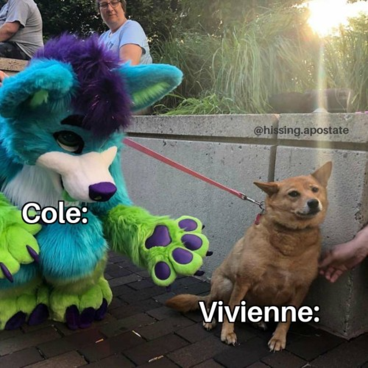 Furry with scared dog meme.
