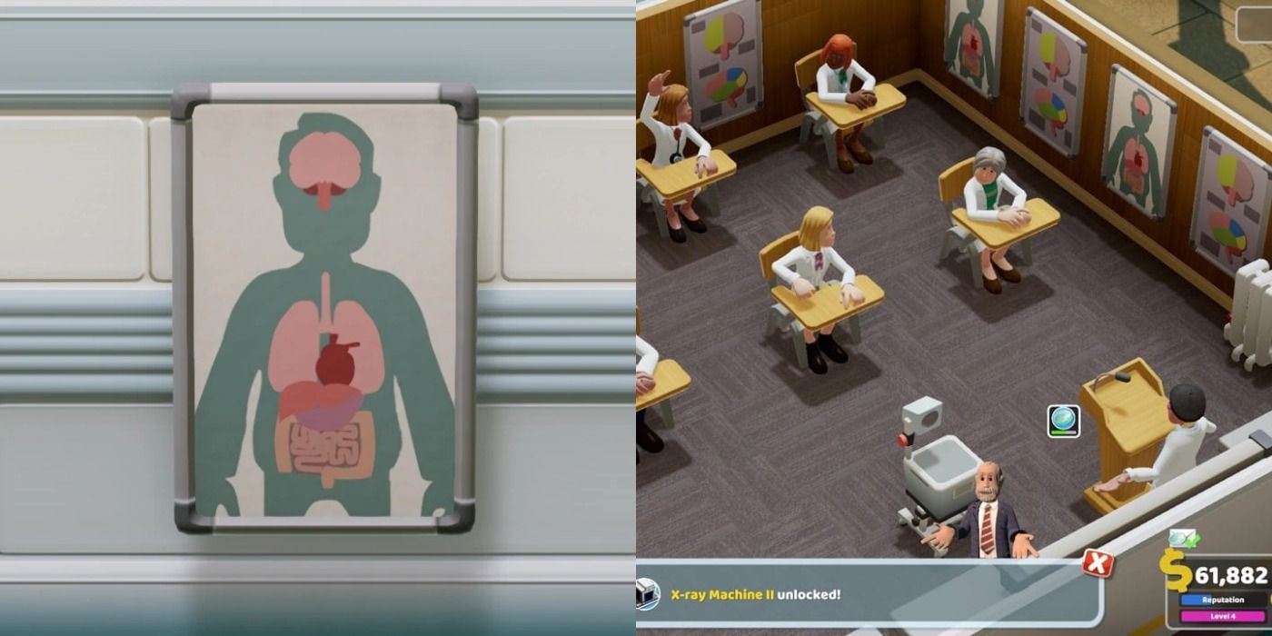 Two Point Hospital Anatomy Poster