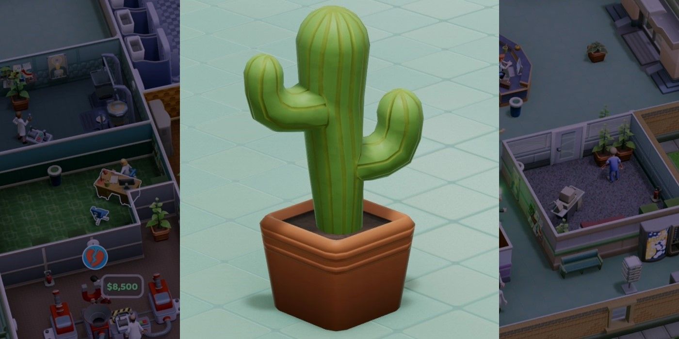 Two Point Hospital Cactus