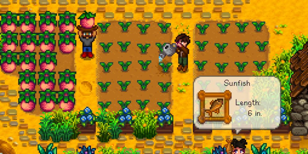Three players doing various activities on the farm.
