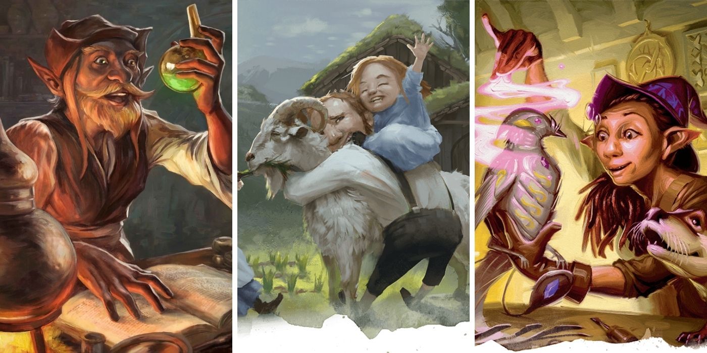 D&D_ 10 Things You Didn’t Know About Gnomes Split Feature Image