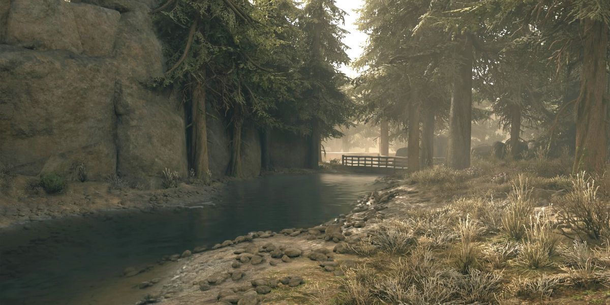 A screenshot of a forest environment in the Cascade region.