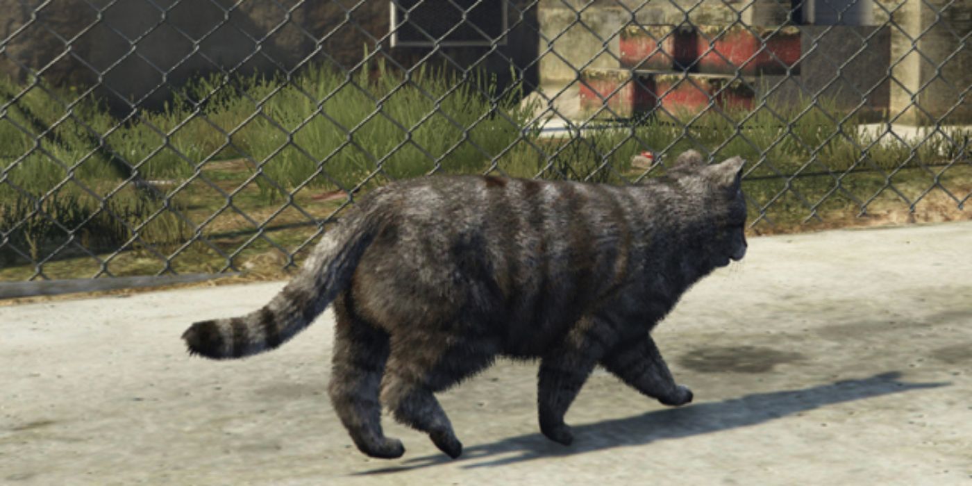 A cat happily walks in Los Santos