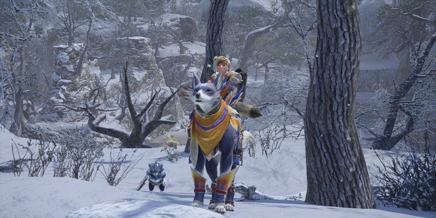 Hunter on Palamute in snow
